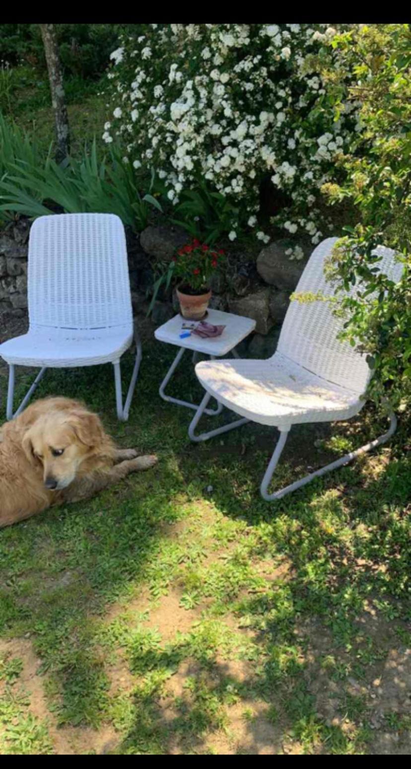 Piscina, Relax E Arte Appartamento *